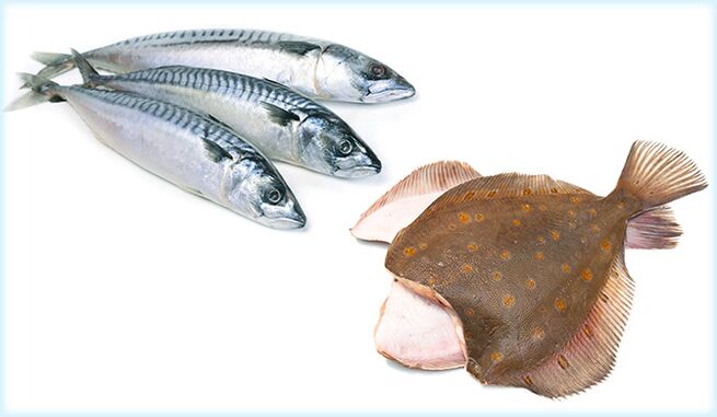 鲭鱼和比目鱼 - 一种增加人类效力的鱼