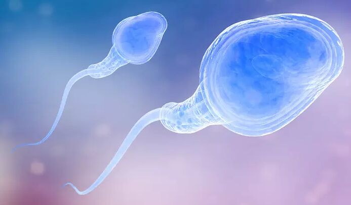 精子可以存在于男性的射精前